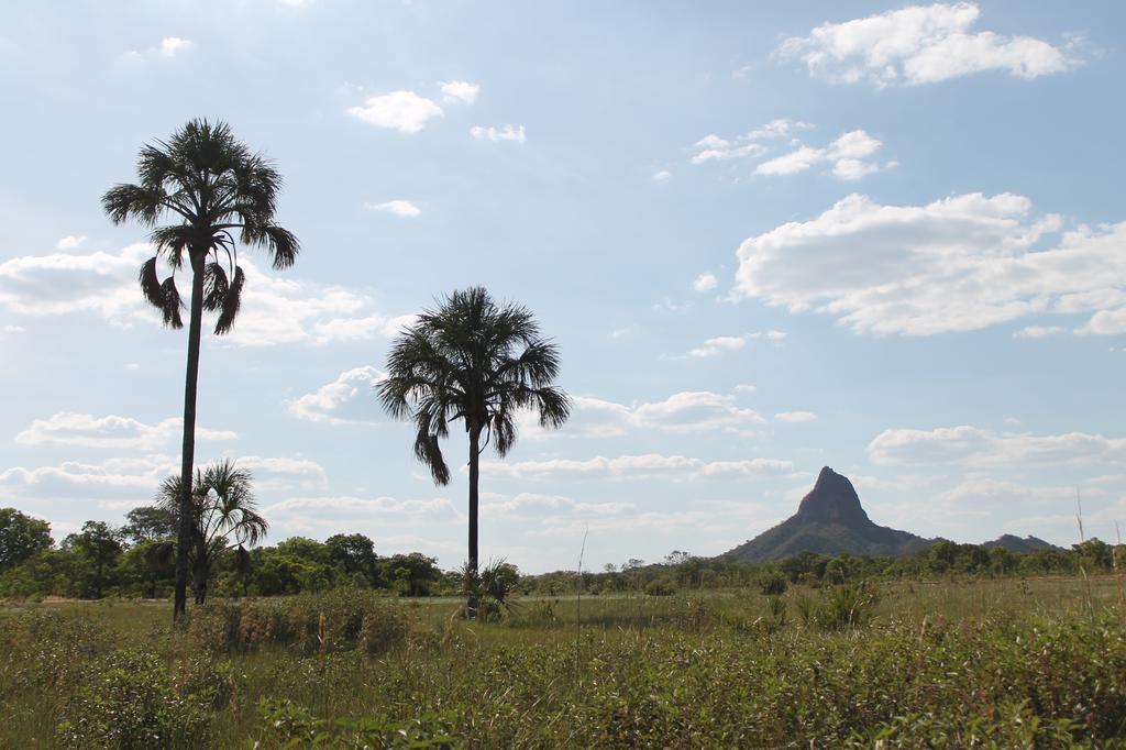 Pousada Sertao Veredas Hotel Sao Domingos de Goias Buitenkant foto