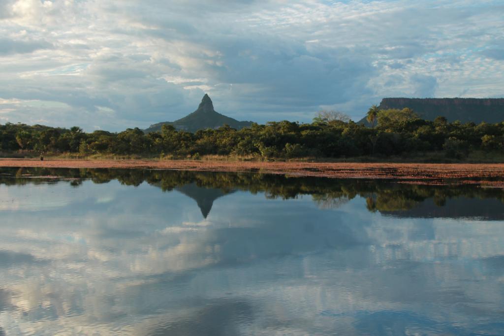 Pousada Sertao Veredas Hotel Sao Domingos de Goias Buitenkant foto