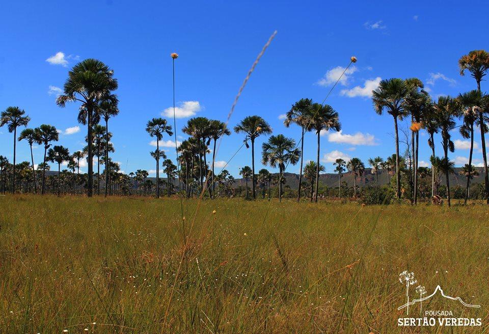 Pousada Sertao Veredas Hotel Sao Domingos de Goias Buitenkant foto