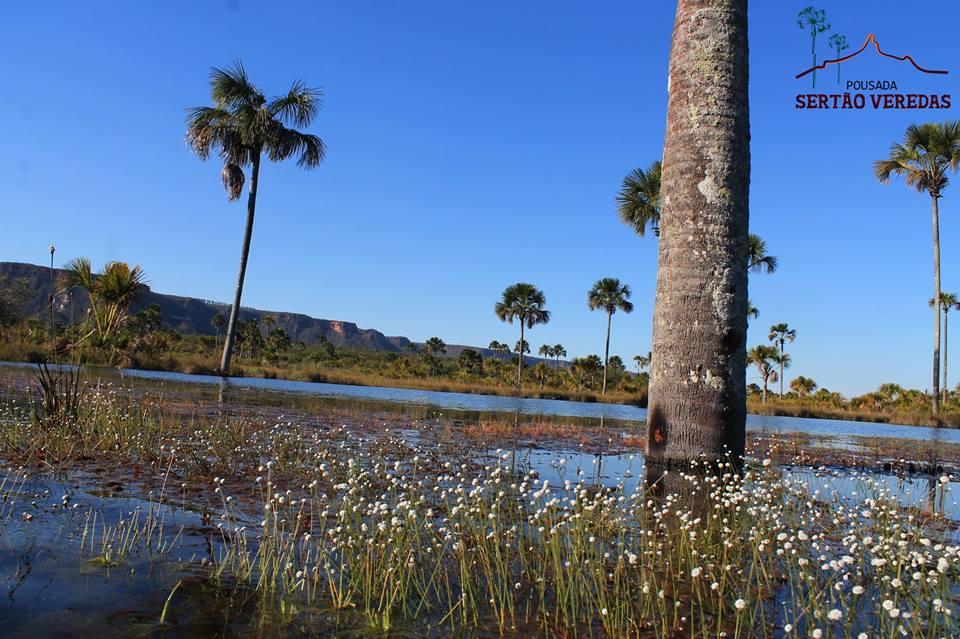 Pousada Sertao Veredas Hotel Sao Domingos de Goias Buitenkant foto